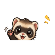Ferret waving emote